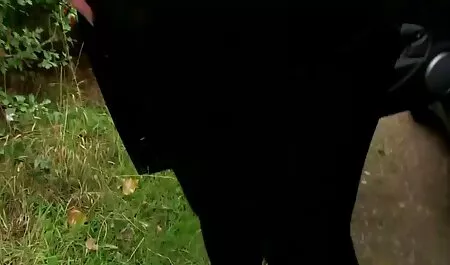 एमआईएलए कैला हिंदी में सेक्सी मूवी एचडी एक मुँहबोला सह हो जाता है
