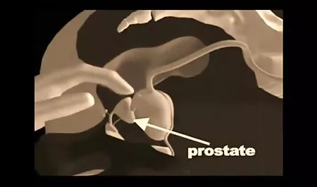 FakeHospital स्टड सेक्सी फिल्म हिंदी फुल एचडी सभी नर्सों के पेट में रहता है