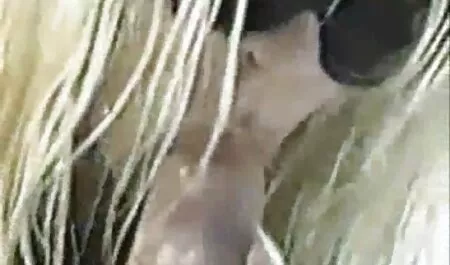 ओटिमो सेक्सी मूवी एचडी हिंदी सेसो - 1